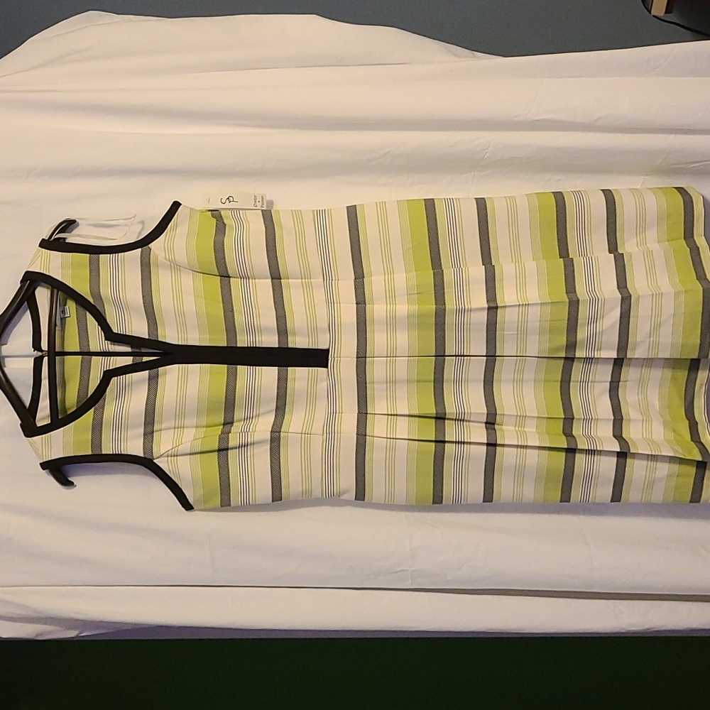 Shelby & Palmer Dress 16 (NWT)